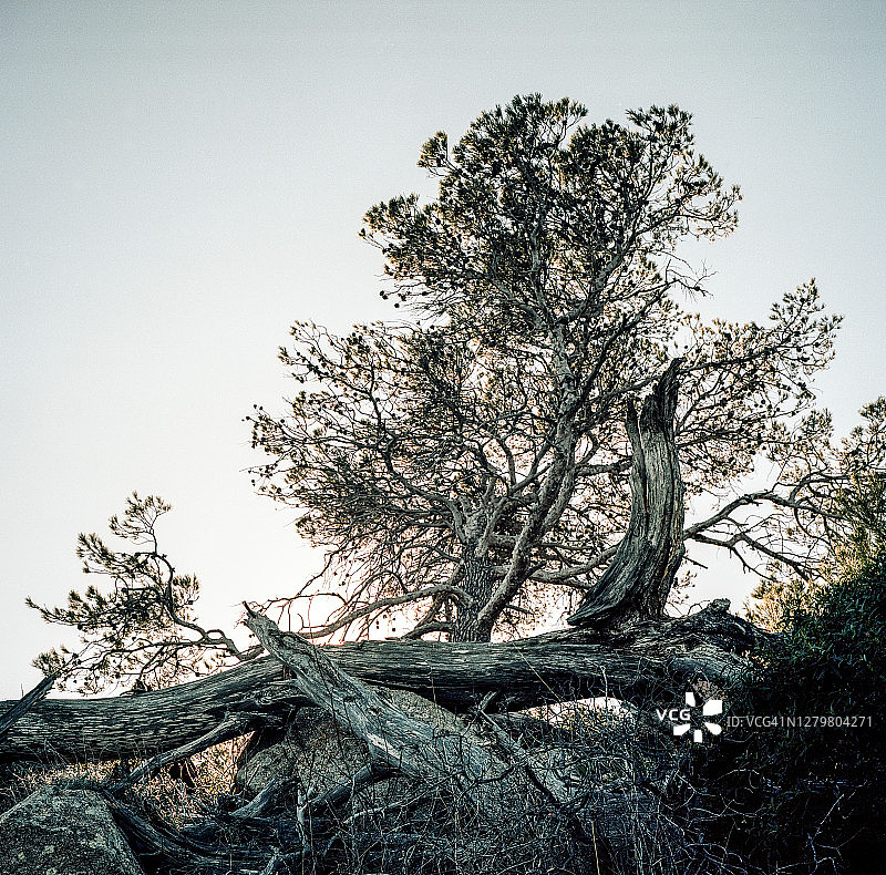 圣特罗佩，生活剪影图片素材