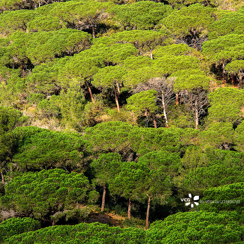 圣特罗佩，生活剪影图片素材