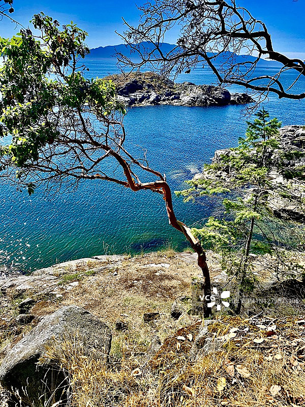 阳光海岸图片素材