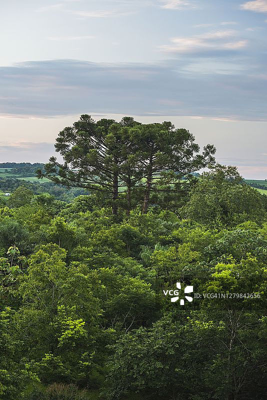 阿根廷米西奥内斯省，伊瓜苏瀑布附近的观景塔图片素材