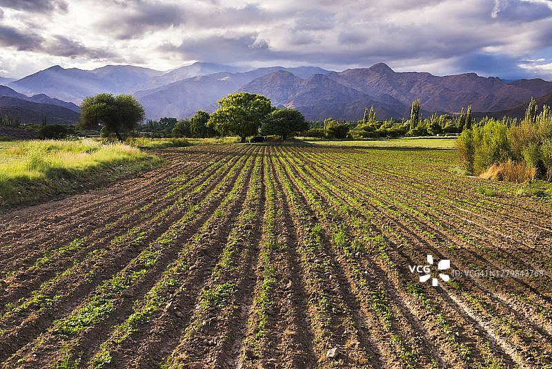 卡奇山谷农田风光（阿根廷北部萨尔塔省）图片素材
