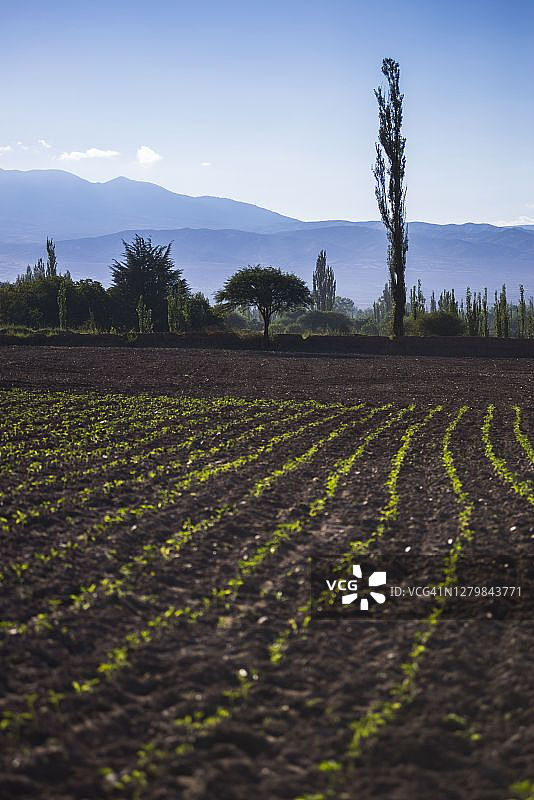 安第斯山脉乡村农田风光，卡奇山谷，萨尔塔省卡尔查基山谷，阿根廷北部图片素材