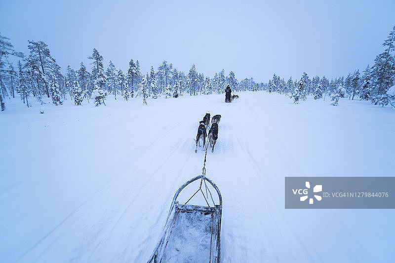 在芬兰拉普兰的冰雪覆盖湖面上度假，体验哈士奇雪橇冒险图片素材
