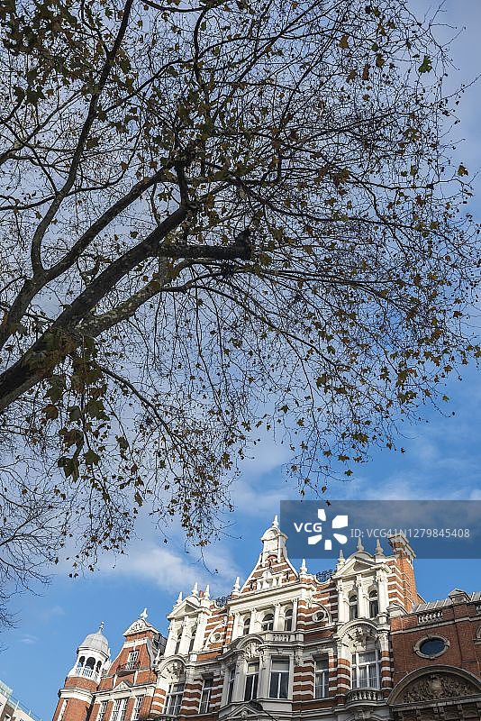 英国伦敦斯隆广场的维多利亚式建筑图片素材