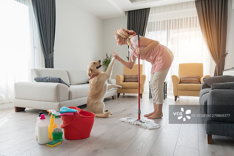 狗把刚拖过的地板弄脏了图片素材