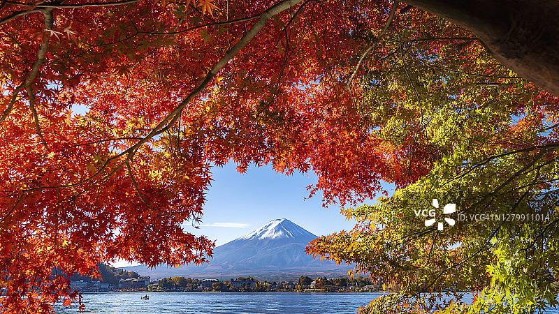 日本河口湖的富士山和红枫树图片素材