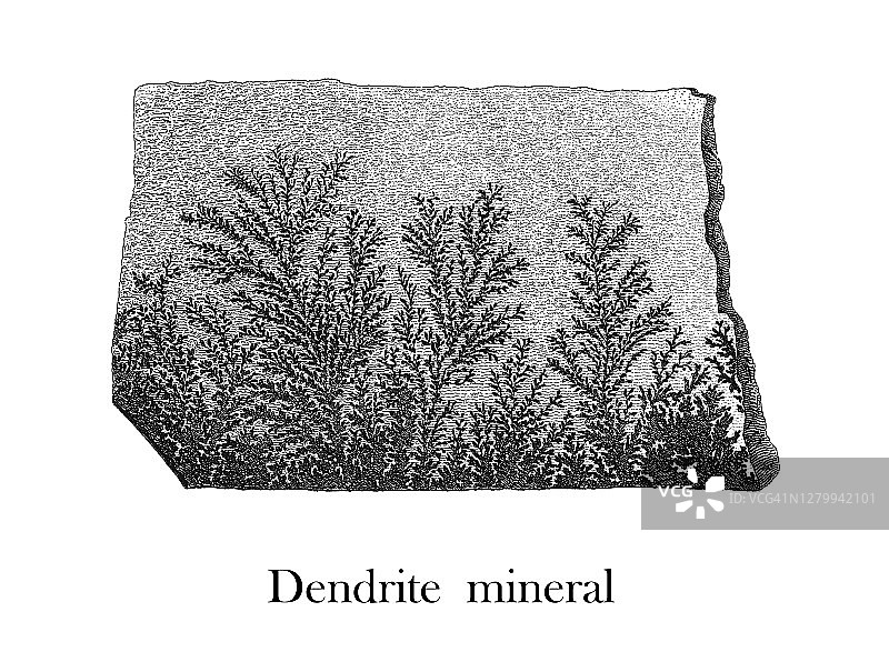矿物学：水晶树突复古插画图片素材