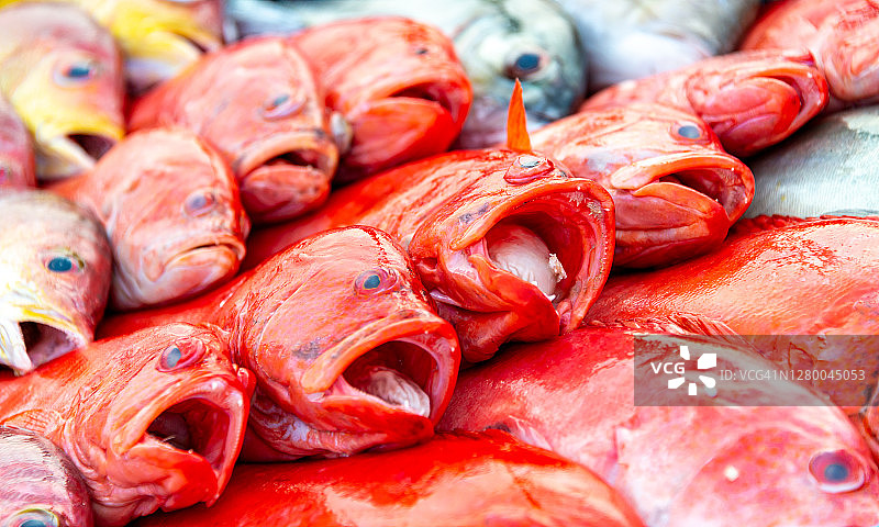 斯里兰卡海鲜市场上的新鲜鱼图片素材