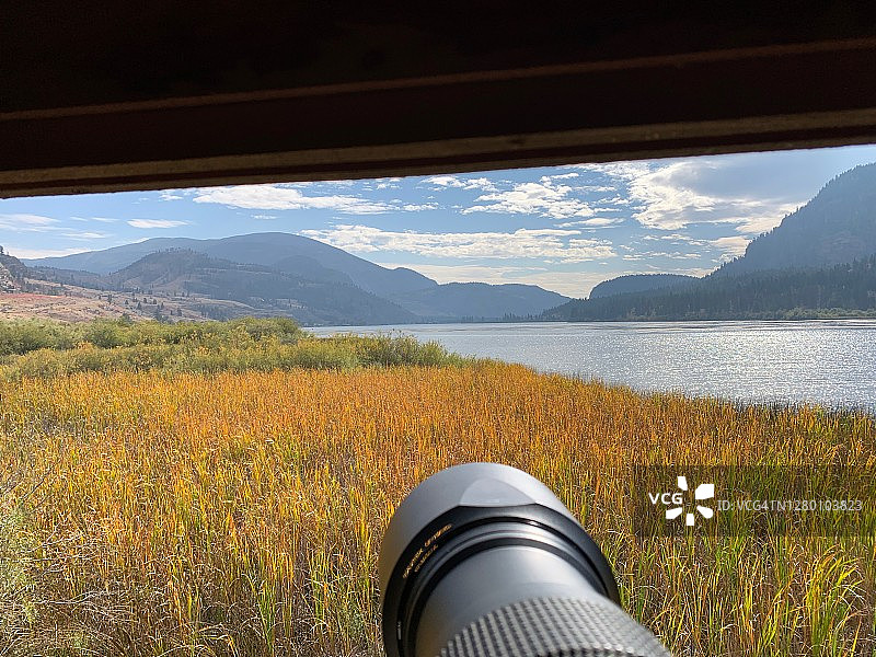 鸟类伪装中的长焦镜头图片素材