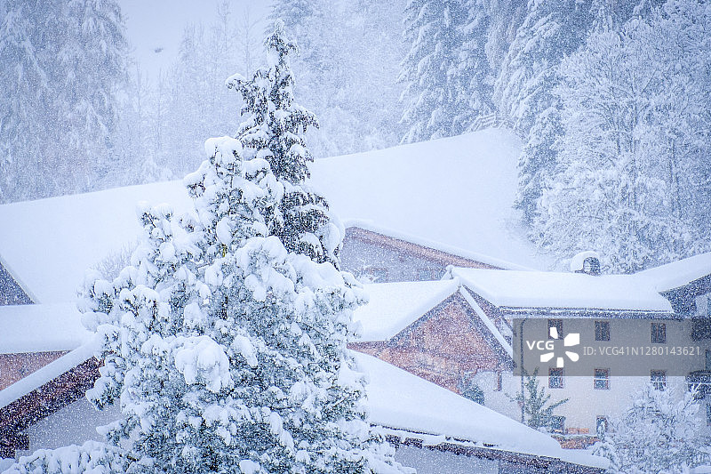 奥地利施图拜山谷诺伊施蒂夫市的冬季景观，透过树枝看到的典型奥地利房屋图片素材