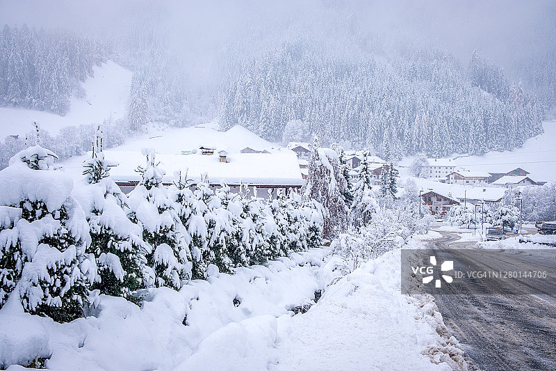 奥地利斯图拜山谷新施蒂夫镇的冬季景观：大雪后白雪覆盖的树木图片素材