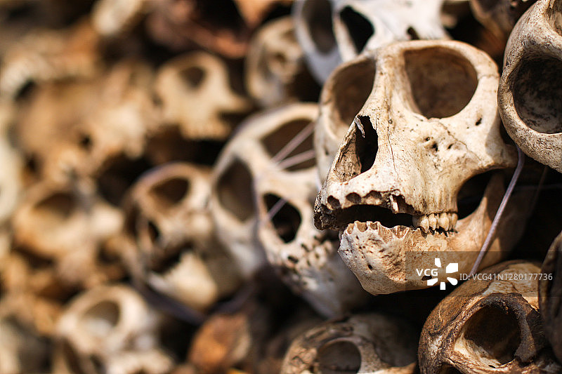 非洲魔法亡灵节图片素材