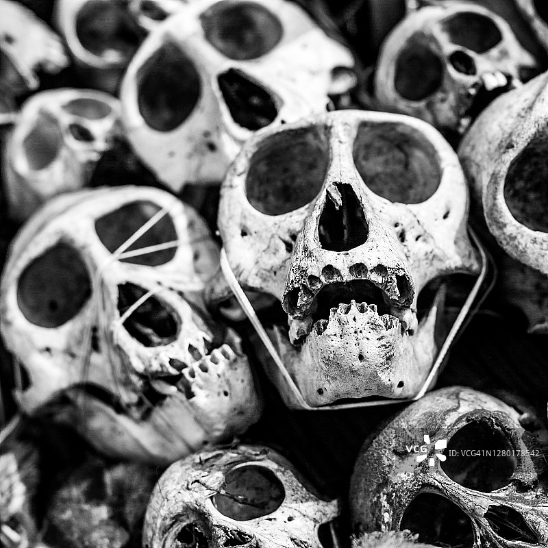 亡灵节图片素材