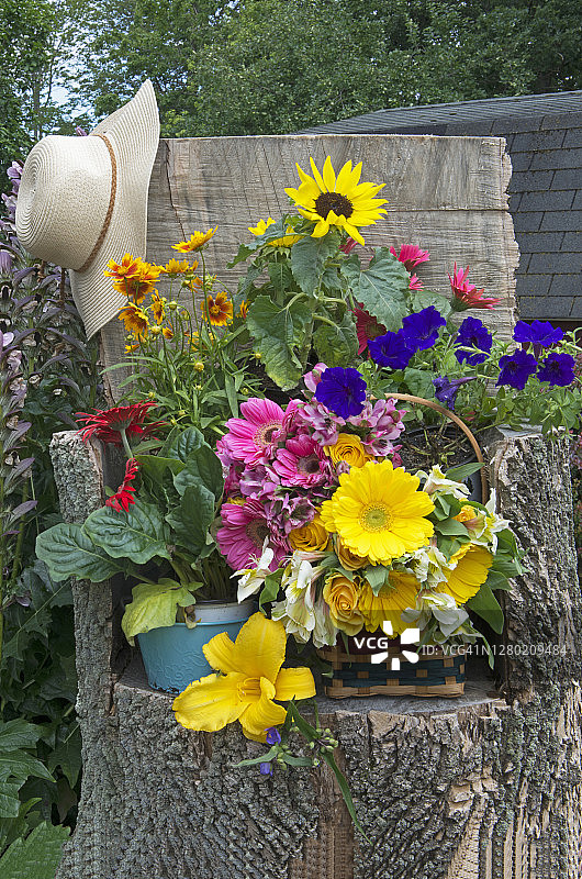 花丛中的树椅（竖版）图片素材