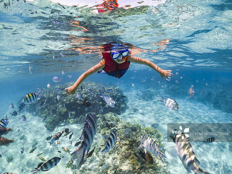 男孩在珊瑚礁附近浮潜，海上度假图片素材