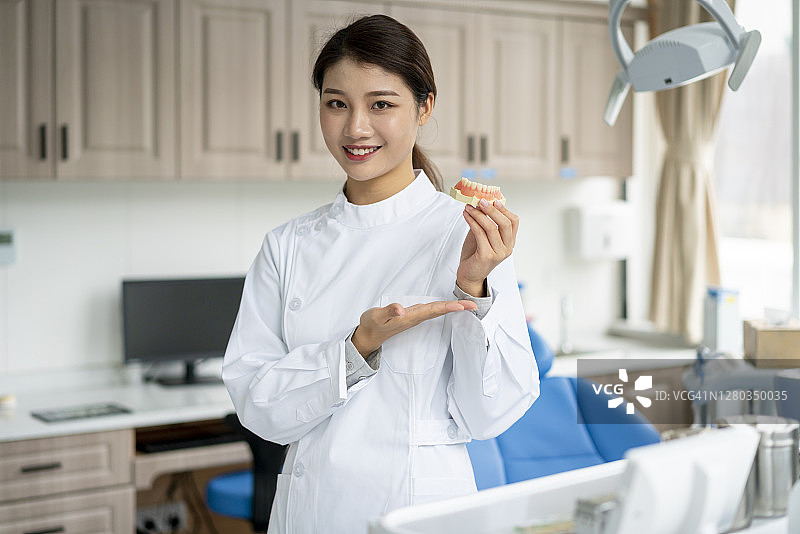 女牙科护士展示牙齿模型图片素材