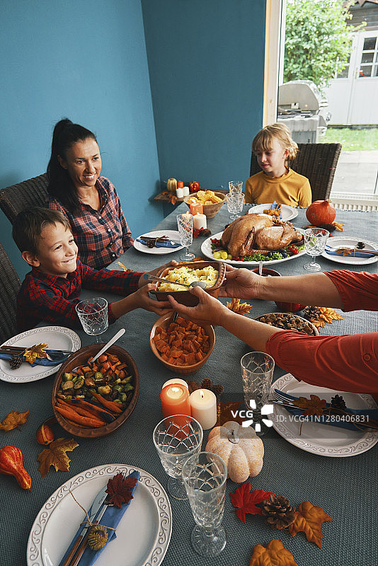 感恩节毛绒火鸡图片素材