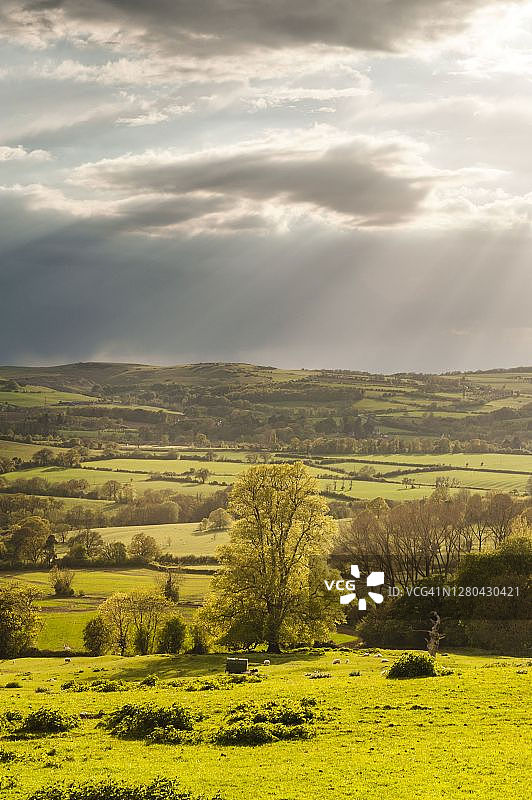 科茨沃尔德温奇科姆和苏德利山谷的日落秋色（英国格洛斯特郡）图片素材