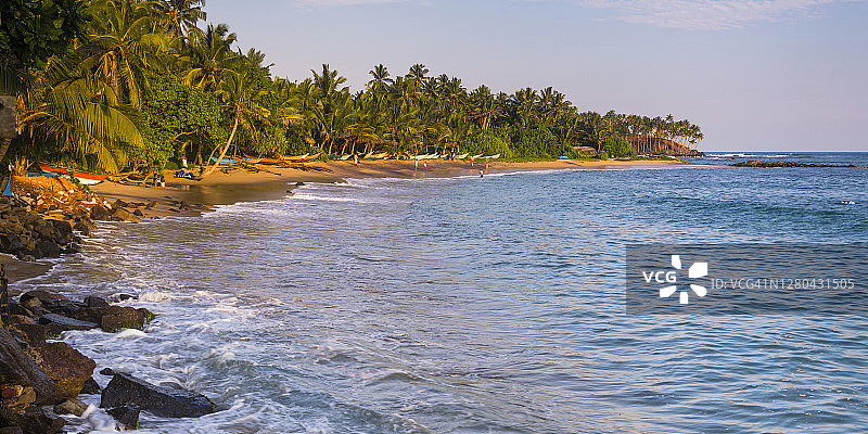 亚洲斯里兰卡南海岸米瑞莎海滩的棕榈树图片素材