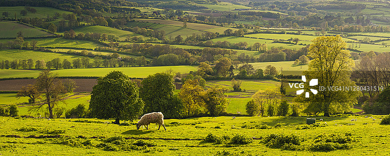 科茨沃尔德温奇科姆和苏德利山谷的日落秋色（英国格洛斯特郡）图片素材