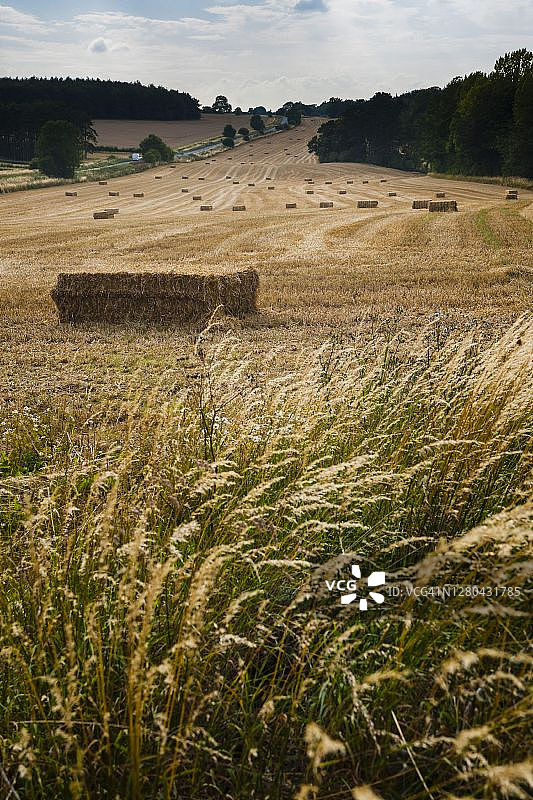 英国英格兰格洛斯特郡科茨沃尔德布洛克利图片素材
