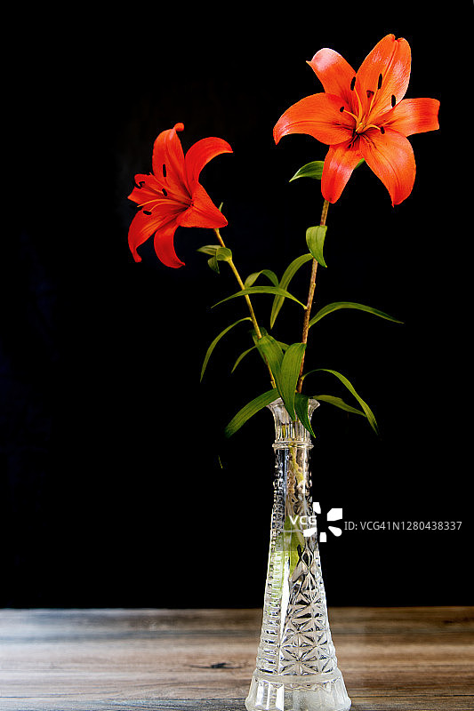 黑色背景玻璃花瓶中的橙色百合，母亲节或情人节概念图片素材