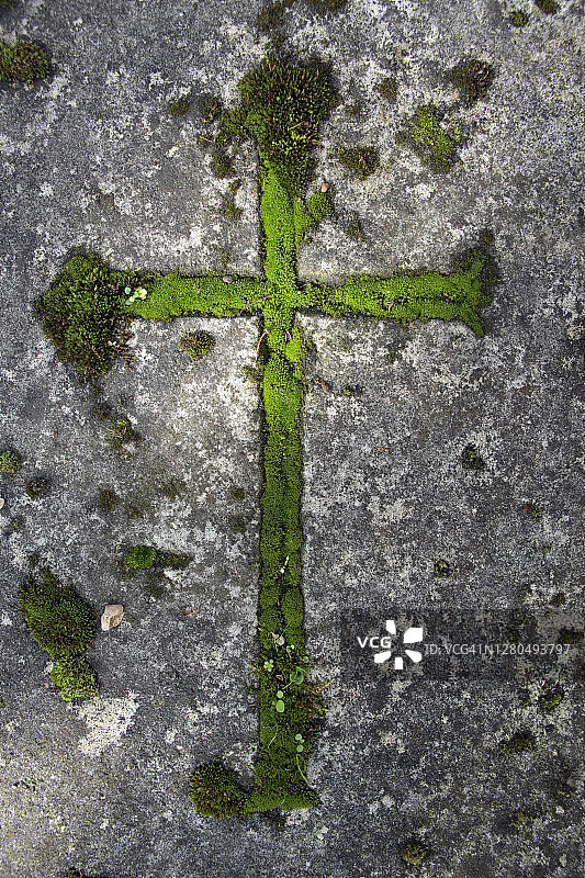 法国巴黎蒙帕纳斯公墓墓碑上的十字架青苔图片素材