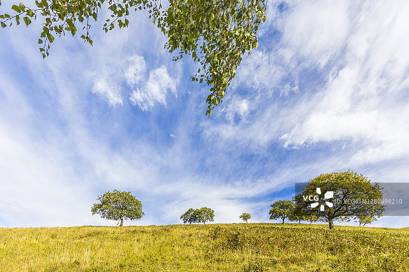 科莫省和莱科省之间的科尔尼佐洛山坡上的绿树（意大利伦巴第）图片素材