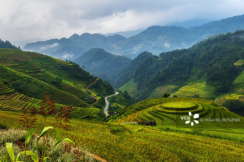 梯田和吊脚楼图片素材