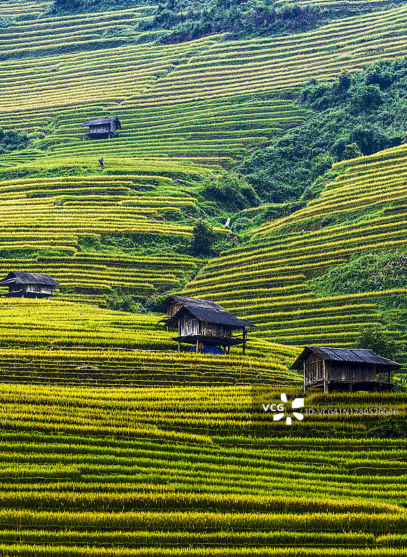梯田和吊脚楼图片素材