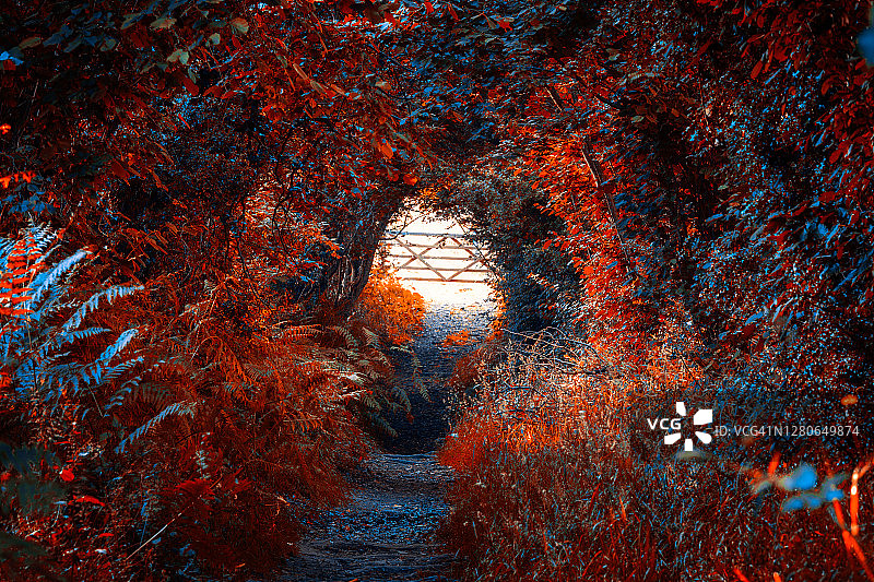 威尔士布雷肯比肯斯Llangorse步道图片素材