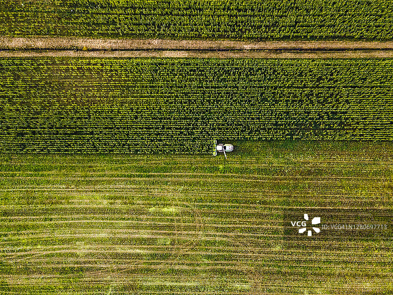玉米地收割航拍图片素材