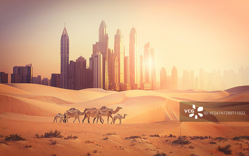 沙漠迪拜图片素材