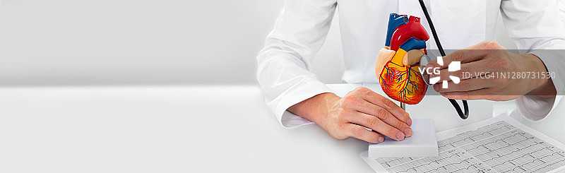 心脏科医生与心脏模型：心脏疾病与治疗图片素材