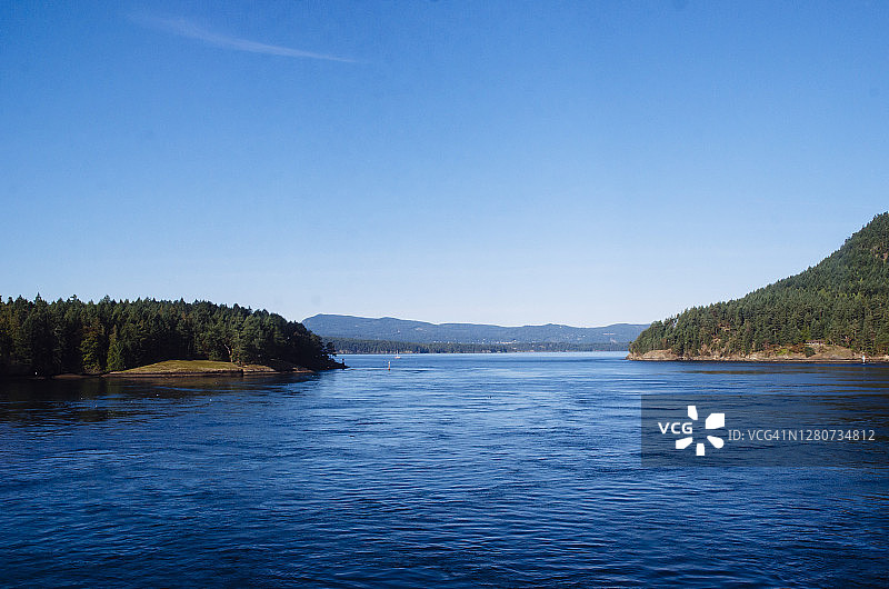 阳光明媚的太平洋西北部森林岛屿图片素材
