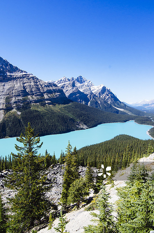 加拿大班夫国家公园沛托湖图片素材