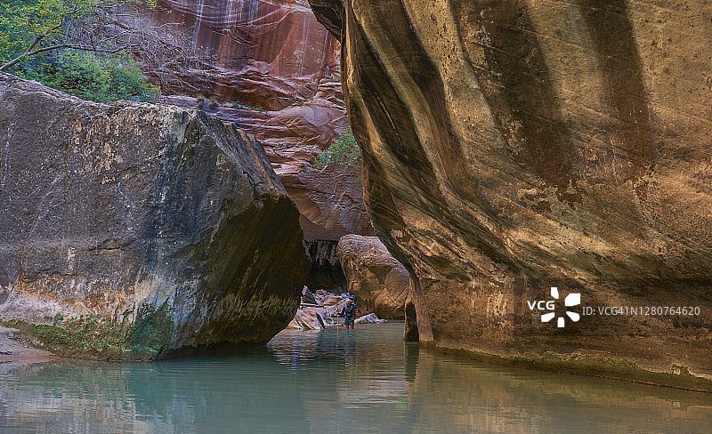 美国犹他州锡安国家公园的维尔京河峡谷图片素材