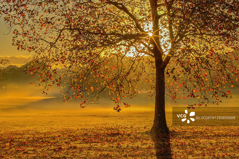 英国伯克郡温莎大公园图片素材