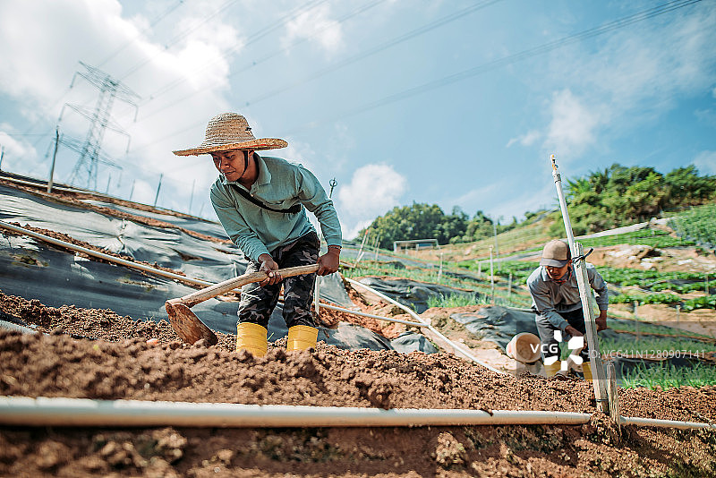 在山坡上用锄头挖土的亚裔男农民图片素材
