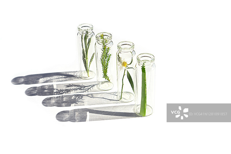 天然护肤护发产品图片素材