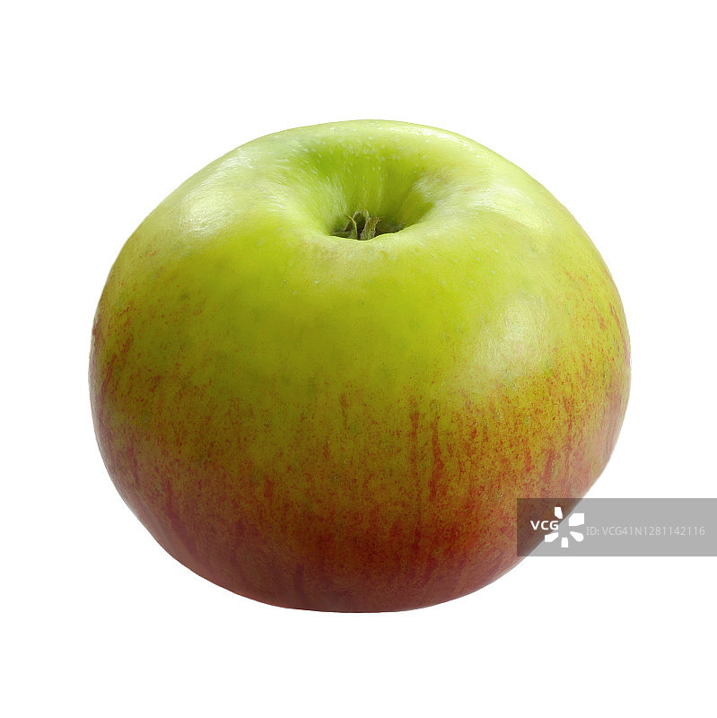 英国花园新鲜采摘的有机布拉姆利苹果图片素材