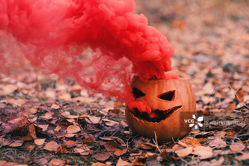 森林里有红色烟雾的南瓜图片素材