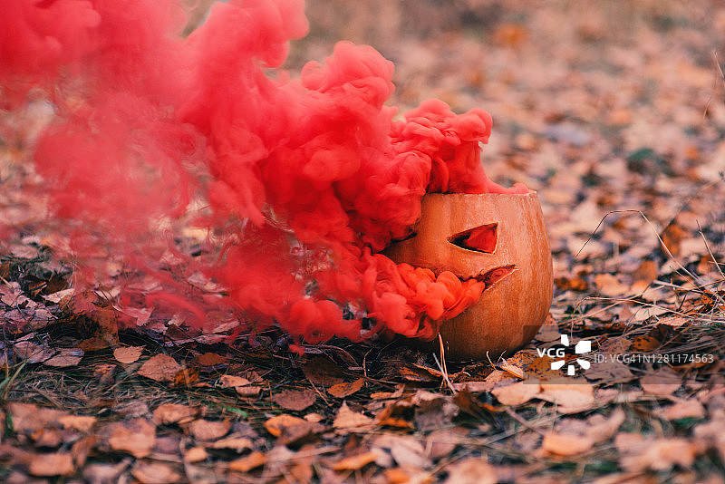 森林里有红色烟雾的南瓜图片素材