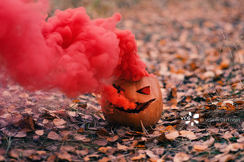 万圣节森林里的发光南瓜灯图片素材