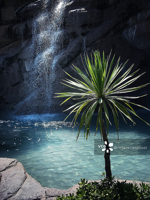 热带景观瀑布棕榈树旅行摄影图片素材