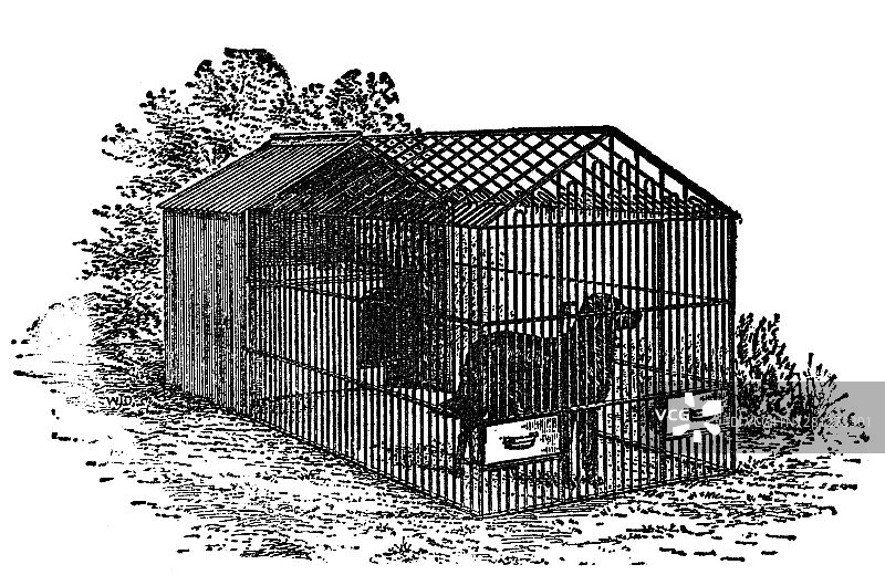 金属狗窝里的狗的古老雕刻插图图片素材