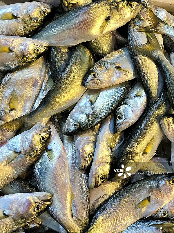 贝西克塔斯鱼市场图片素材