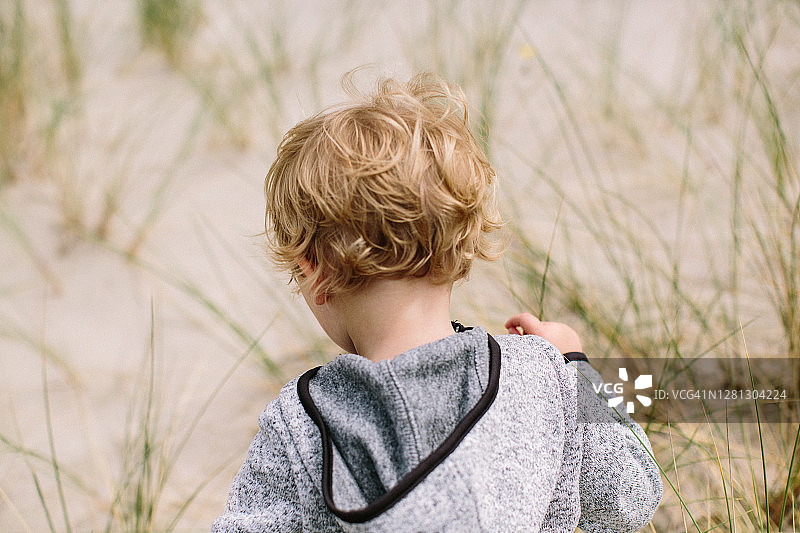在荷兰沙丘上的小男孩图片素材