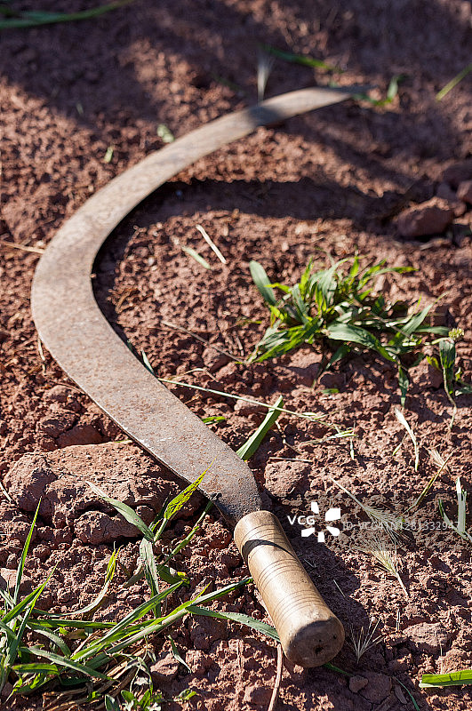 果园里的镰刀图片素材
