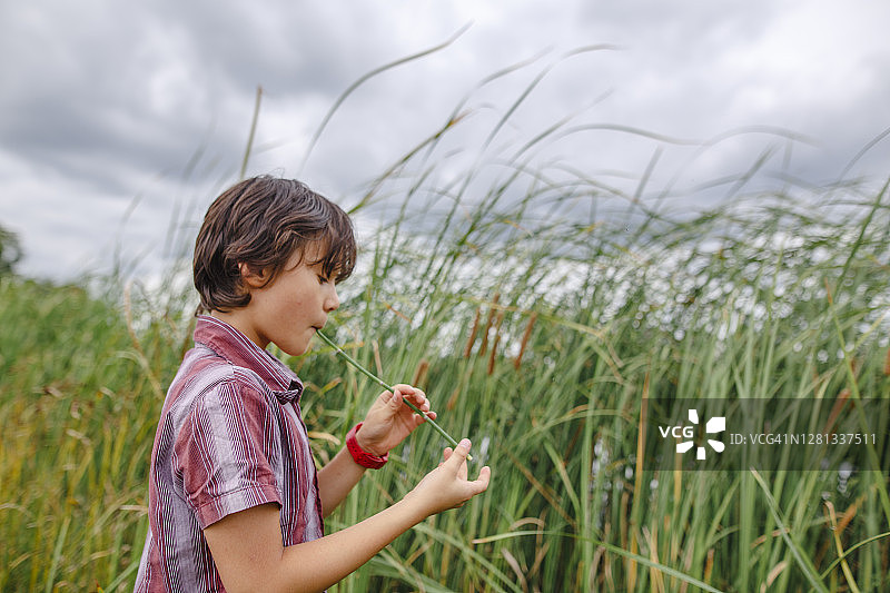 在多云的一天，站在高高的草丛边吹芦苇的男孩图片素材